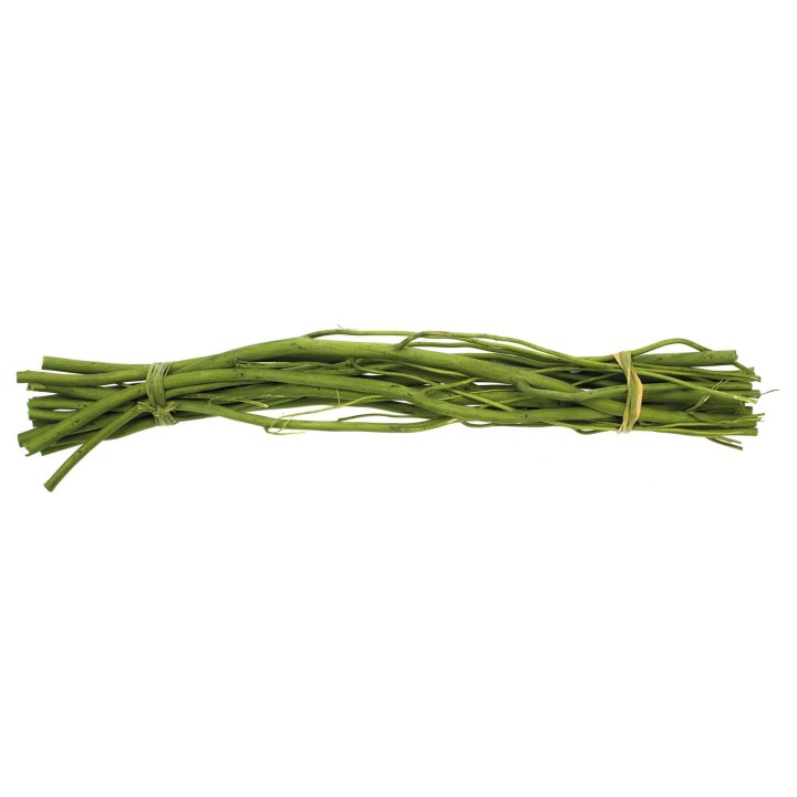 Bouquet d'osier, vert, 40cm