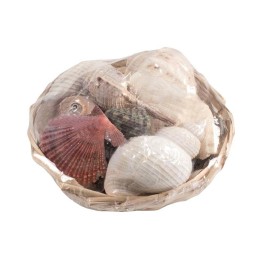 Mix de coquillages 350g 14cm
