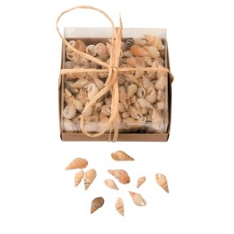 Muschelmix 90g