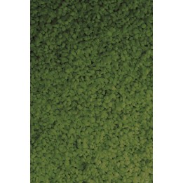 Sable déco 480g vert foncé