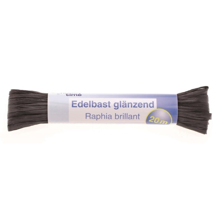 Edelbast 20m schwarz glänzend Viscose 10g