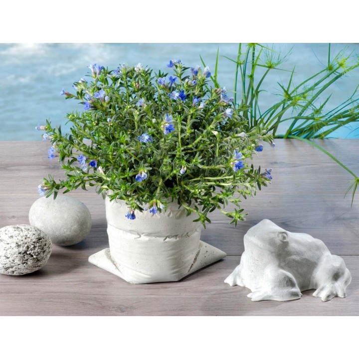 Creative-Beton 1,5kg im Eimer