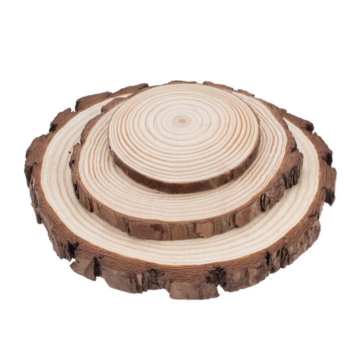 Disque en bois 10x1cm