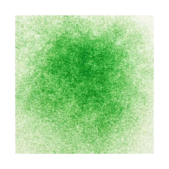 Velvet powder 11g, 0,5mm green