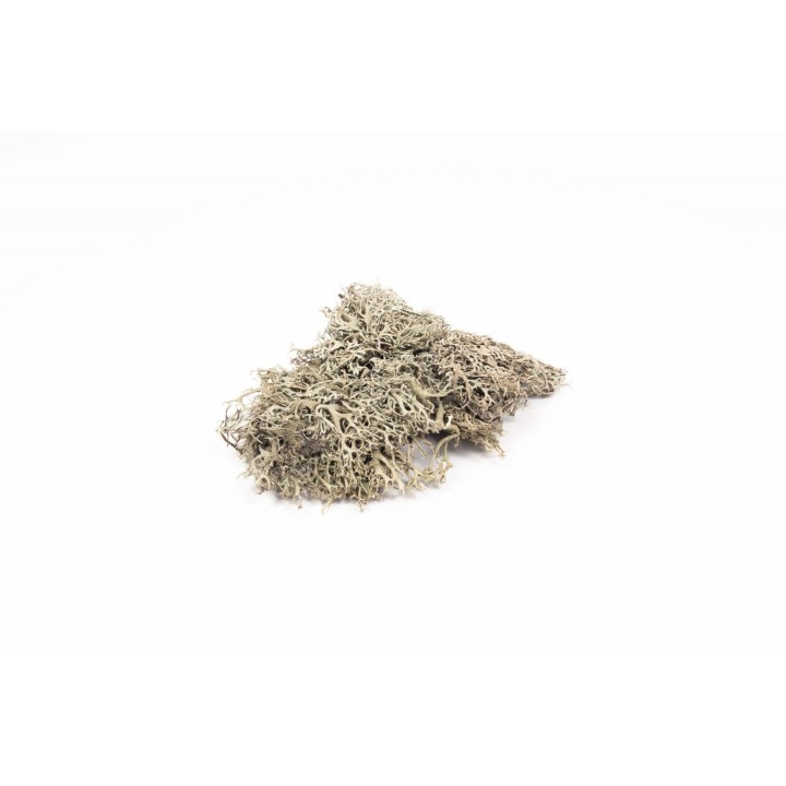 Graumoos 50g