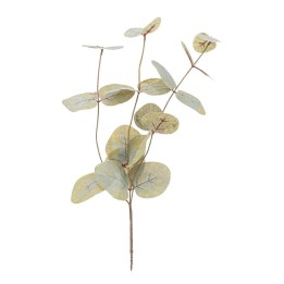 Eukalyptus-Zweig 37cm