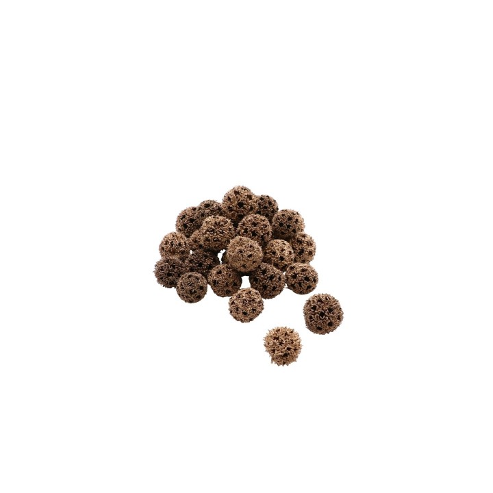 Amberbaumfrüchte, 80g