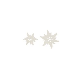 Streuteile Edelweiss 3-4cm Holz, weiss, 10St. FSC