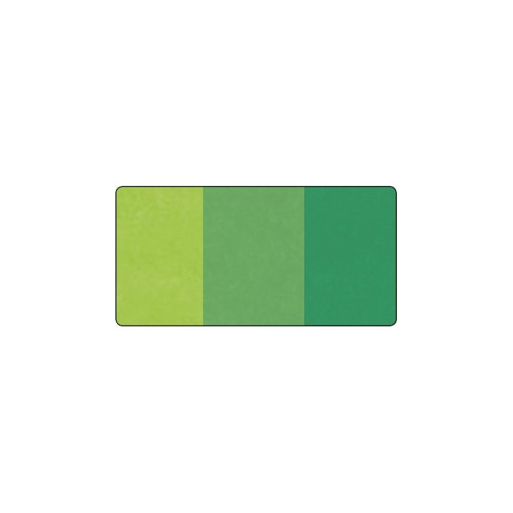 Silk paper 20g/m2 green 50x70cm, 6 sheets