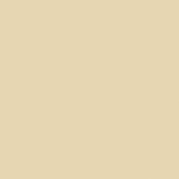 Tonpapier chamois 130g/m2 50x70 cm, 1 Bogen