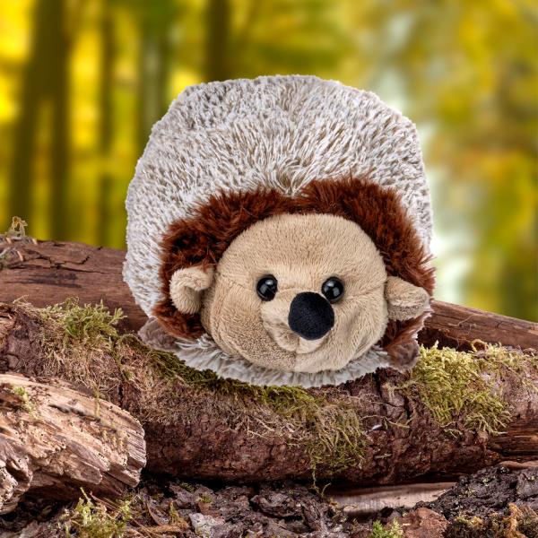 Igel