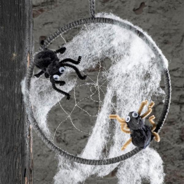 Spinnennetz im Ring