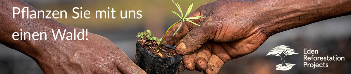 Eden Reforestation